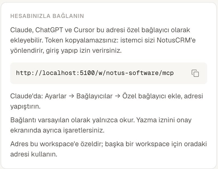 MCP ve API ayarları: workspace bağlantı adresi ve bağlı uygulamalar
